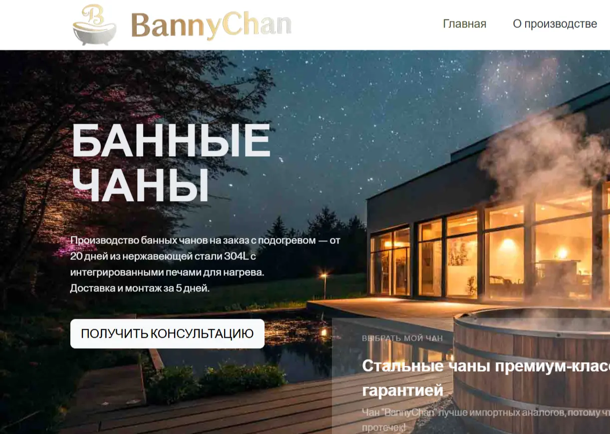 Скриншот сайта bannychan.ru — кейс GEO-оптимизации ООО ФОНИИ